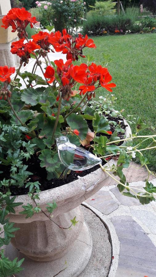 Sous Les Remparts Bed & Breakfast Solignac Dış mekan fotoğraf